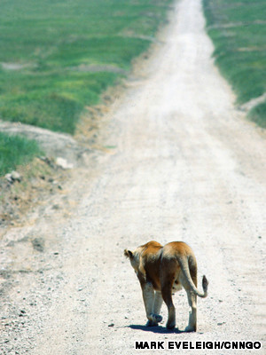 10 khu bảo tồn hoang d&atilde; đẹp nhất ch&acirc;u Phi